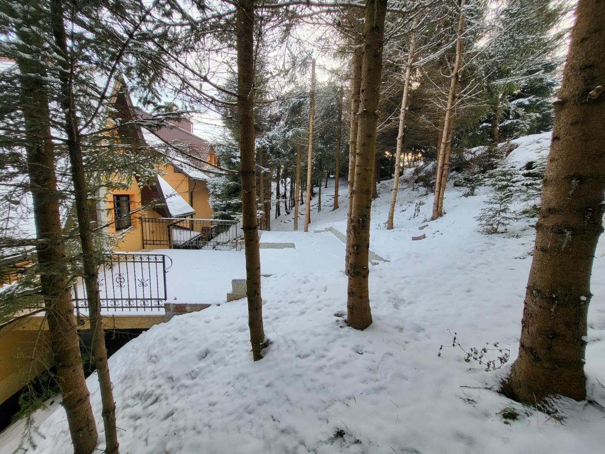 Pod Laskiem Krosnica  Exteriér fotografie